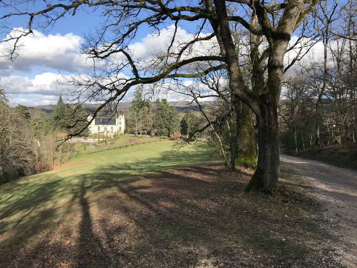 Domaine Le Castelet Bed and Breakfast Castres  Eksteriør billede